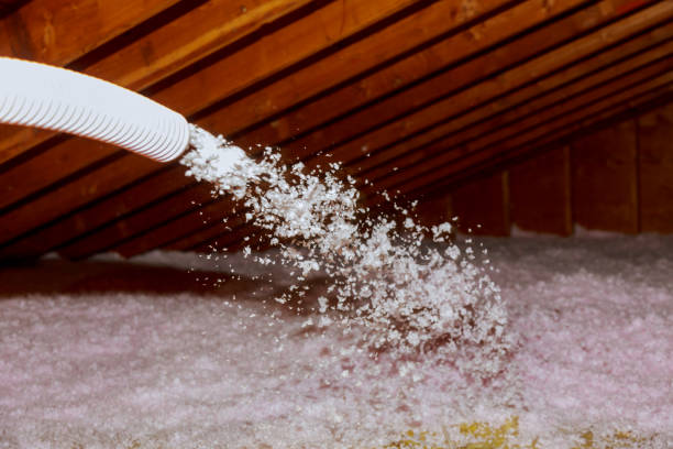 Best Residential Insulation in Strasburg, CO